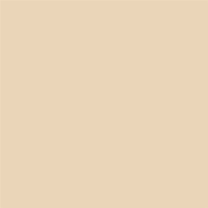 HSK RenoDeco Designplatte 150 x 255 cm - Uni-Crema-Beige - Hochglanz