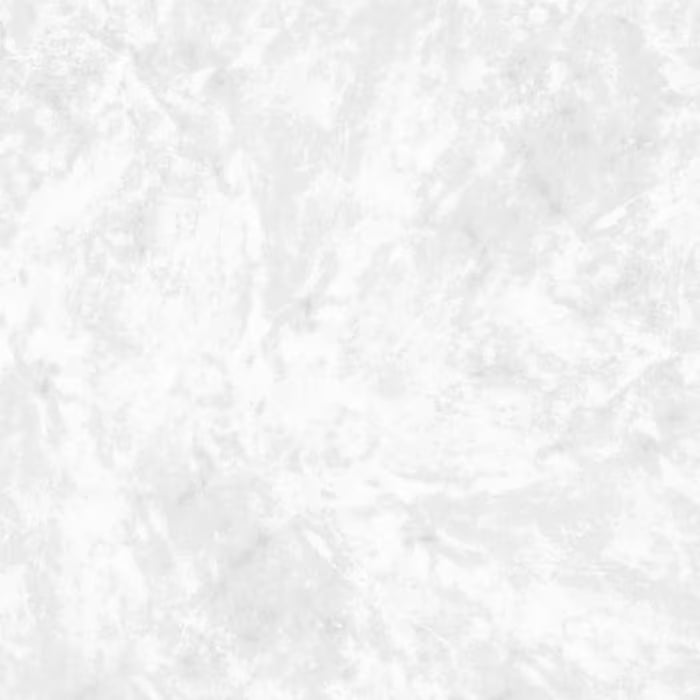 HSK RenoDeco Designplatte 100 x 210 cm - Marmor - Carrara-Weiss  - Seidenmatt
